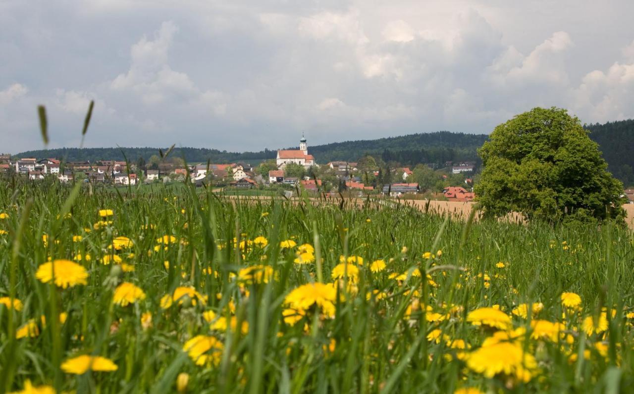 Blockhaus Stamsried Villa Esterno foto